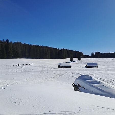 Villa Pokljuka Згорнье-Горье Экстерьер фото