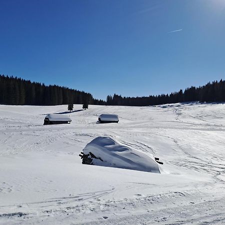 Villa Pokljuka Згорнье-Горье Экстерьер фото