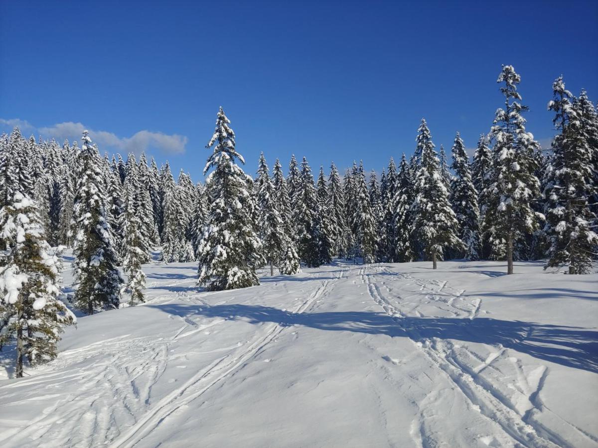 Villa Pokljuka Згорнье-Горье Экстерьер фото