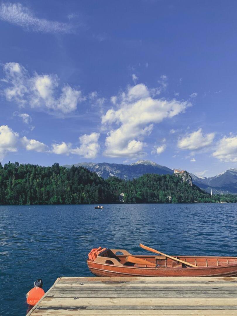Villa Pokljuka Згорнье-Горье Экстерьер фото