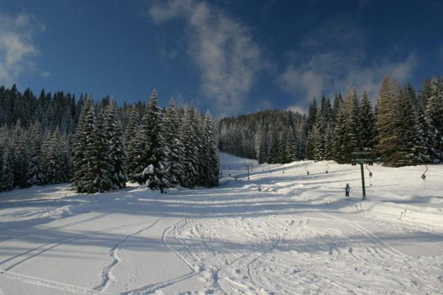 Villa Pokljuka Згорнье-Горье Экстерьер фото