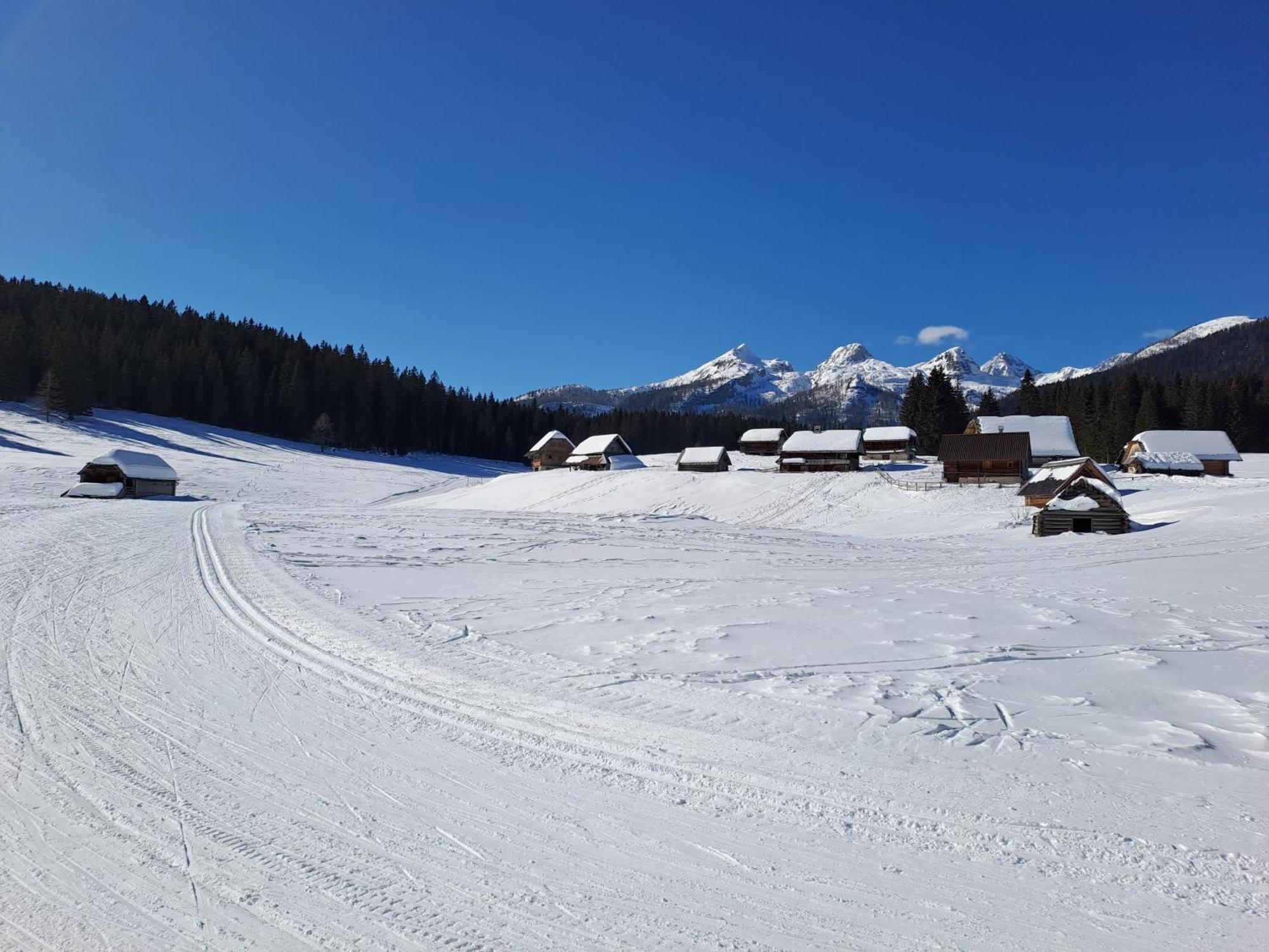 Villa Pokljuka Згорнье-Горье Экстерьер фото