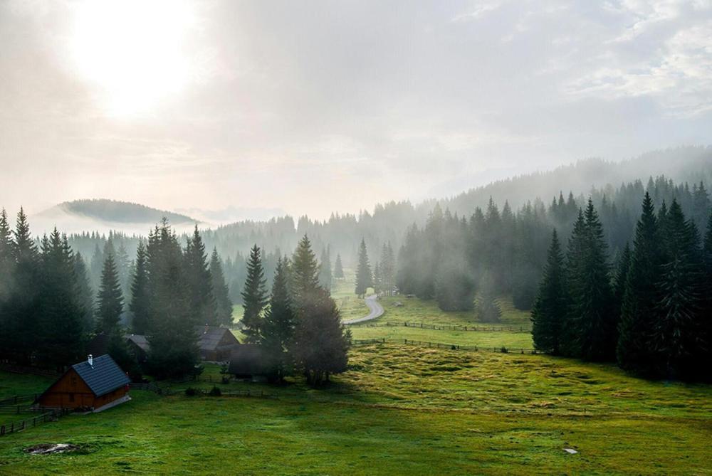 Villa Pokljuka Згорнье-Горье Экстерьер фото
