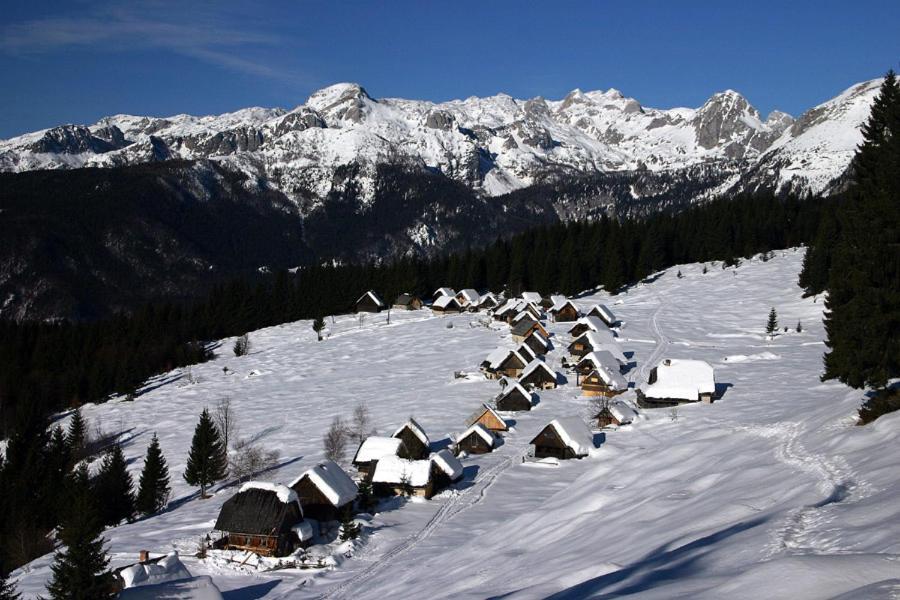Villa Pokljuka Згорнье-Горье Экстерьер фото