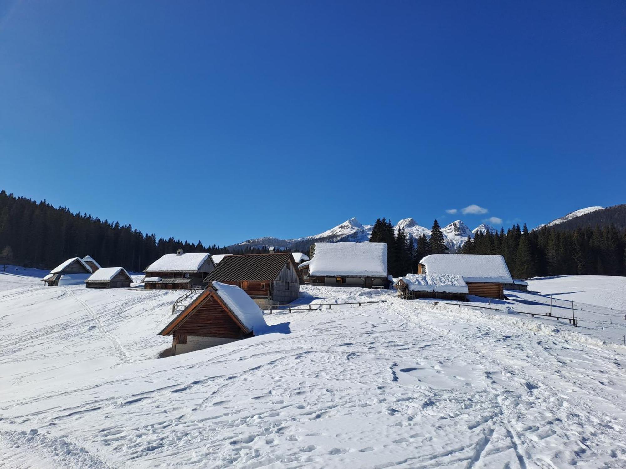 Villa Pokljuka Згорнье-Горье Экстерьер фото